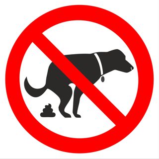 Zákaz venčení psů - SYMBOL