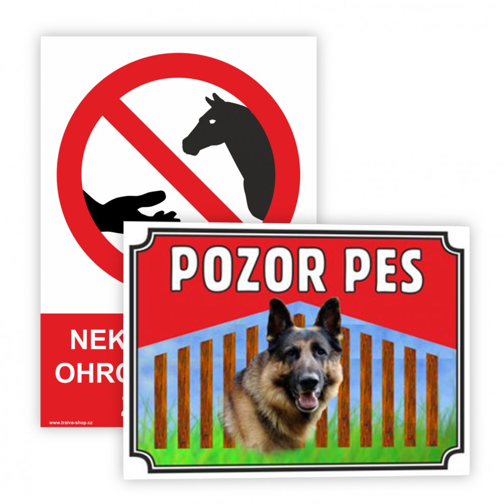 Psy a zvieratá - Varianty - Plechová cedulka - "Pozor zlý pes", 400 x 300 mm, Kód: 26412