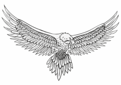 Ilustrační obrázek
