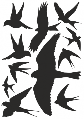 Silueta dravce proti narážení ptáků z holografické fólie - 11 dravců na archu 30 x 40 cm