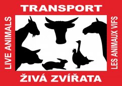 Transport živých zvířat