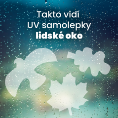 UV siluety proti narážení ptáků na okna