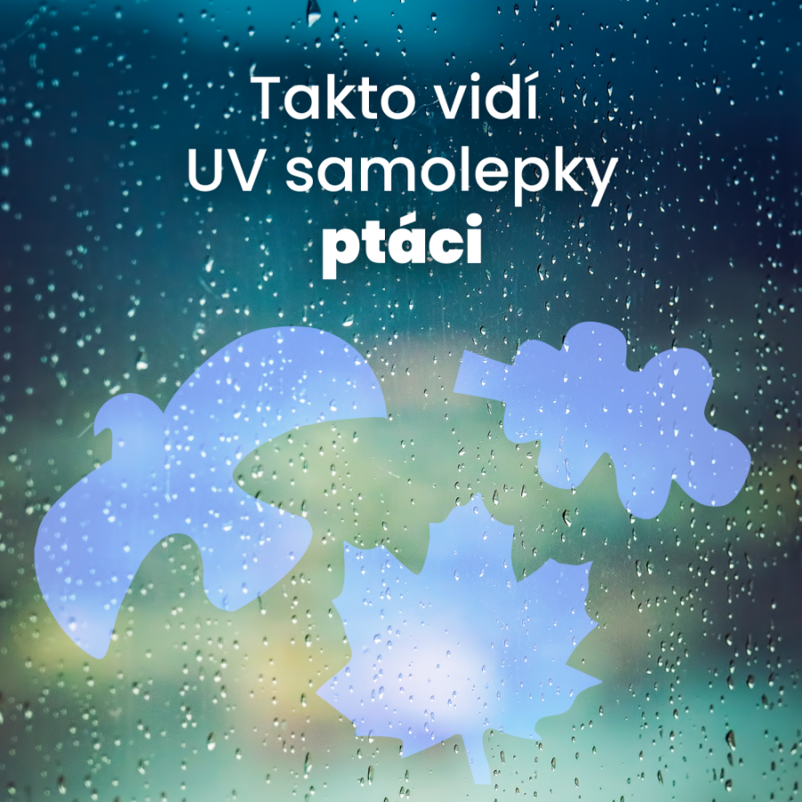 UV silueta javorového listu proti narážení ptáků na okna