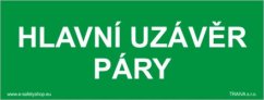 Hlavní uzávěr páry