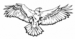 Silueta orla s roztiahnutými krídlami, proti narážaniu vtákov do okien - černobílá