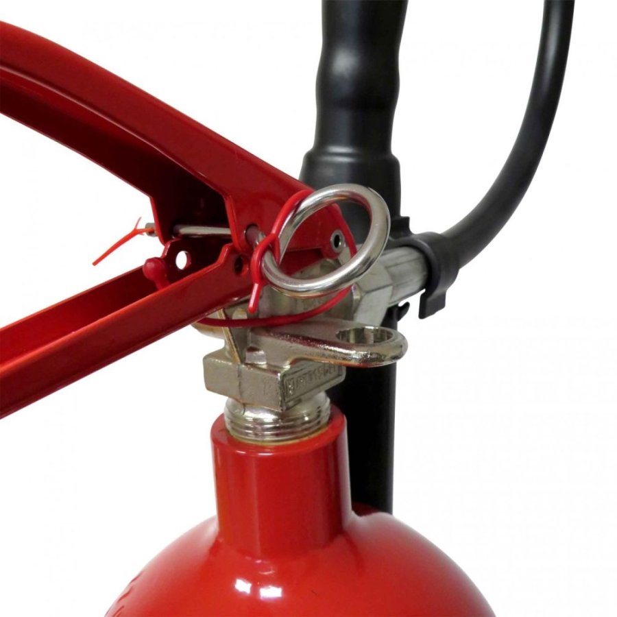 Hasiaci prístroj snehový 5kg (89B/C) s revíziou