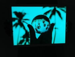 Image glowing in the dark / palms