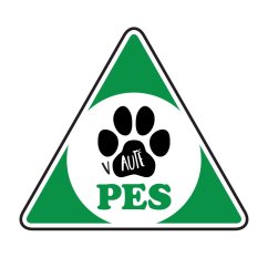 Pes v aute, samolepka 10,5 cm