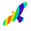 Silueta dravce Direct rainbow proti narážení ptáků do oken z holografické fólie