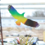 Silueta dravce z holografické fólie Fantasy rainbow, proti narážení ptáků do skla