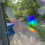 Silueta dravca z holografickej fólie Fantasy rainbow, proti narážaniu vtákov do skla