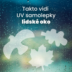 UV silueta javorového listu proti narážení ptáků na okna