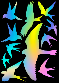 Silueta dravce - z holografické fólie fantazy rainbow - arch 30 x 40 cm, 11 dravců