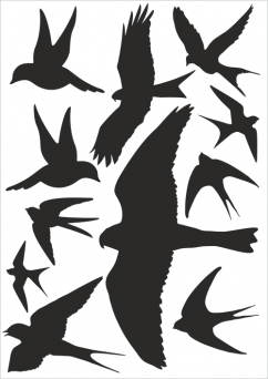 Silueta dravce proti narážení ptáků - samolepící fólie - 11 dravců na archu 30 x 40 cm