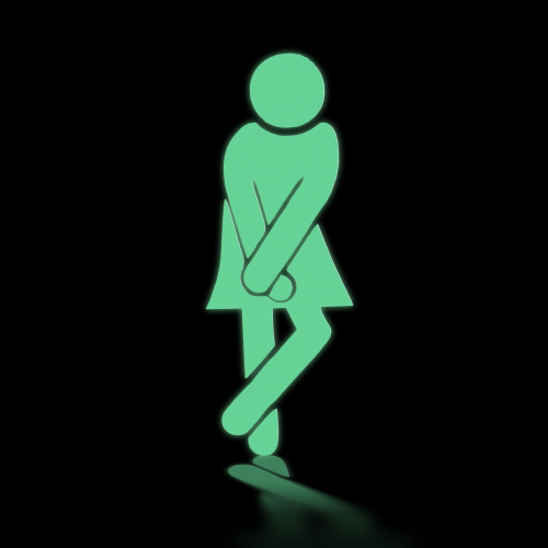 Self-adhesive Photoluminescent toilet sign - women