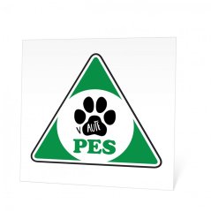 Pes v autě, samolepka 10,5 cm Pes v autě, samolepka 10,5 cm