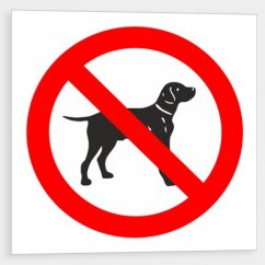 No entry with dog