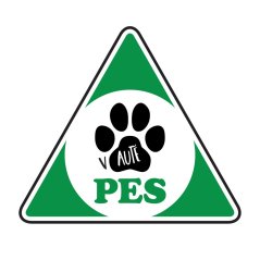 Pes v autě, samolepka 10,5 cm