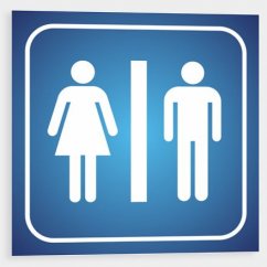 Toilets for men and women