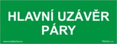 Hlavní uzávěr páry