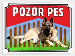 Pozor pes - Německý ovčák