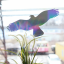 Silueta dravce Direct rainbow proti narážení ptáků do oken z holografické fólie