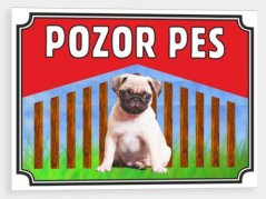 Pozor pes - Mops - puppy