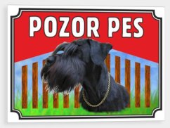 Pozor pes - Černý knírač