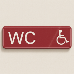 Toilet for the disabled