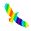 Silueta dravce z holografické fólie Fantasy rainbow, proti narážení ptáků do skla